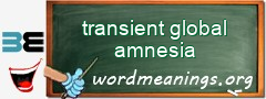 WordMeaning blackboard for transient global amnesia